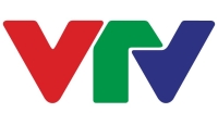 VTV